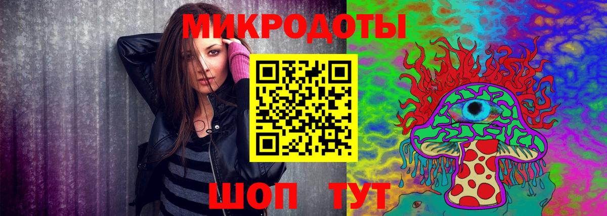 как найти   Галлюциногенные грибы GOLDEN TEACHER  Вход с VPN  Псилоцибиновые грибы ЛСД  Гусев 