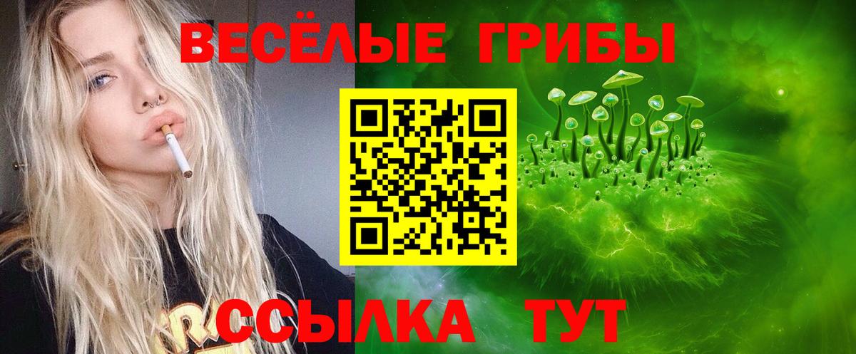 Псилоцибиновые грибы ЛСД Гусев